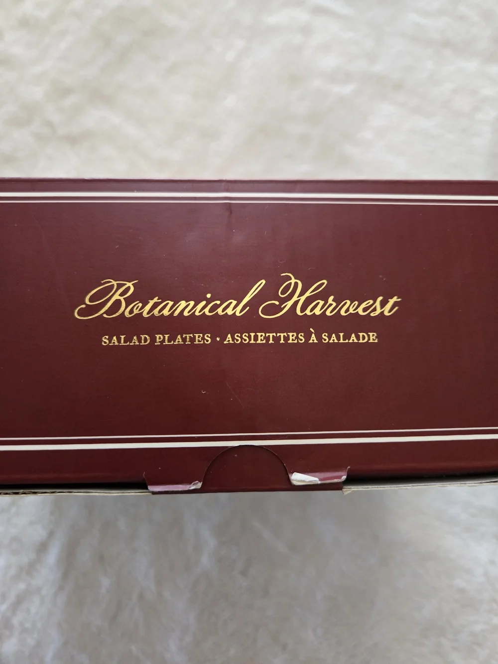 Pottery Barn - Botanical Harvest Salad Plate Set - NEW! - Picture 4 of 6